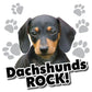 Dachshunds Rock! White T-Shirt - FREE SHIPPING