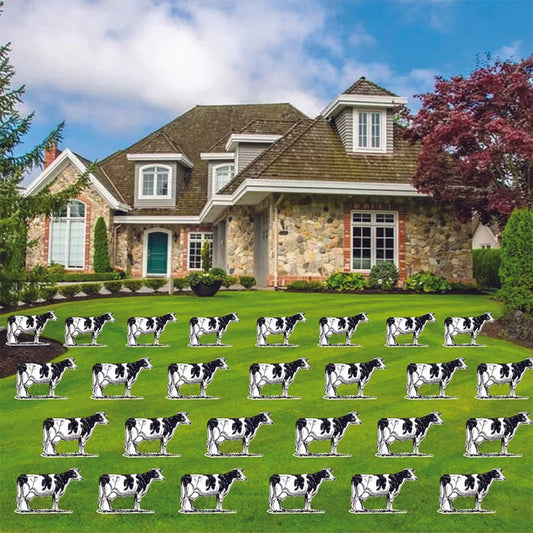 Extra Cows To Pair With Our Holy Cow! Look Who Is Birthday Sets | 27pc Set
