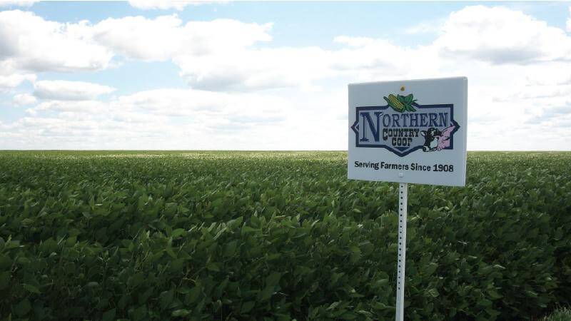 Custom Field Plot Signs | 2' x 3' | VictoryStore – VictoryStore.com
