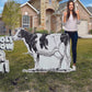 Holy Cow You Did It Yard Card Lawn Sign | 6pc Jumbo Quick Set