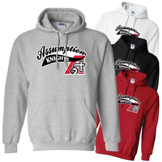 Assumption Knights with Tail and Flying A Hooded Sweatshirt