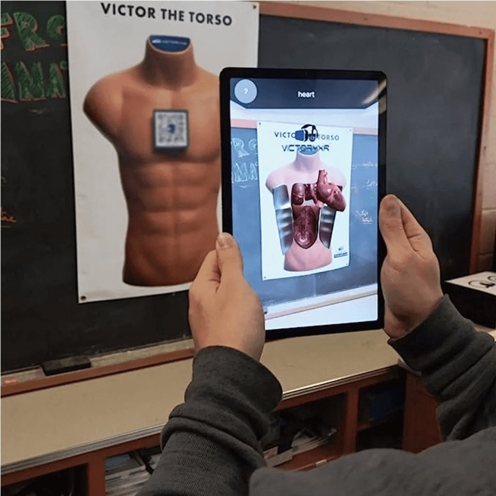 Human Anatomy Augmented Reality Bundle: Teacher Book + 25 Student Books + Torso Banner