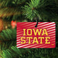 Iowa State University Ornament - Set of 3 Shapes - FREE SHIPPING