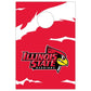 Illinois State Cornhole Bag Toss Game (Design 1)