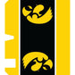 Iowa Hawkeyes Gold Striped Magnetic Mailbox Cover