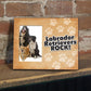 Labrador Retrievers Rock Dog Picture Frame - Holds 4x6 picture