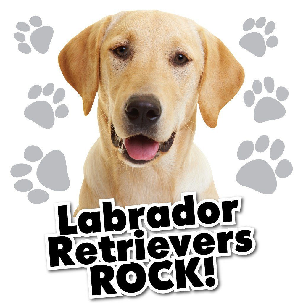 Labrador Retrievers Rock! White T-Shirt - FREE SHIPPING