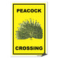 Peacock Crossing Sign or Sticker