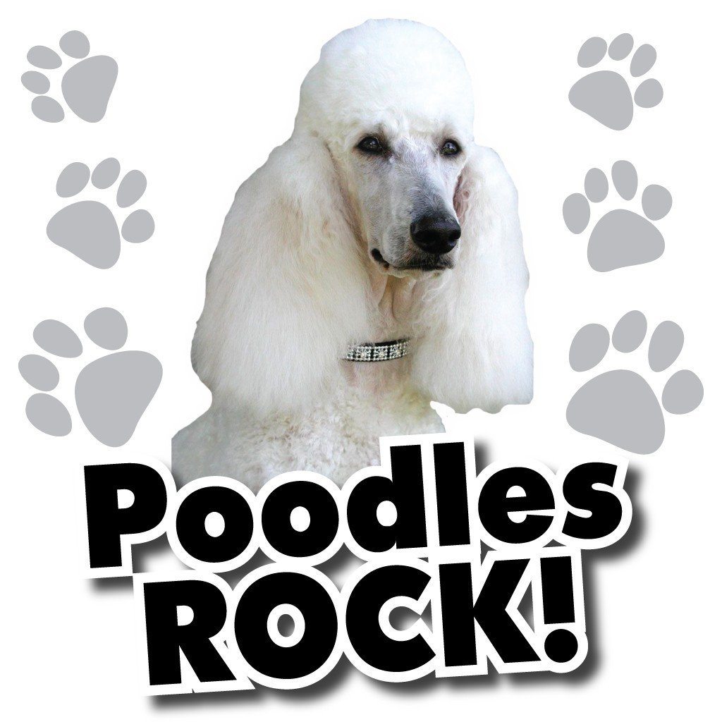 Poodles Rock! White T-Shirt - FREE SHIPPING