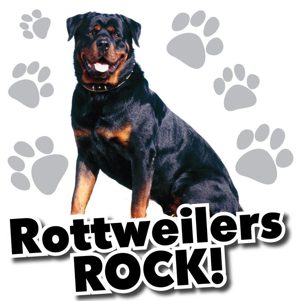 Rottweilers Rock! White T-Shirt - FREE SHIPPING