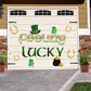St. Patrick's Feeling Lucky Garage Magnets (20087)