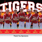 Team Banner - Custom Graphics Team Photo Cutout with Background