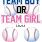 baseball theme yard decorations for gender reveal party