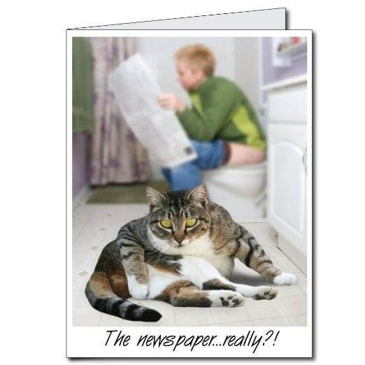 3' Stock Design Giant Birthday Card w/Envelope - Toilet Cat