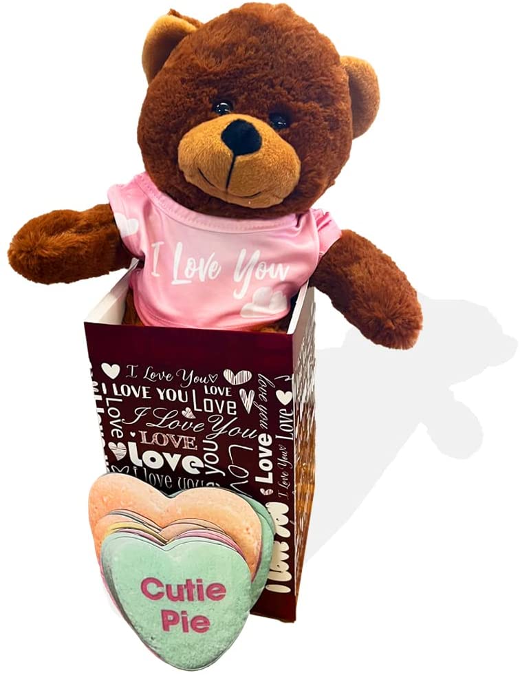 Valentine Gift Box: Plush Stuffed Bear with Candy Heart Magnets (20108)