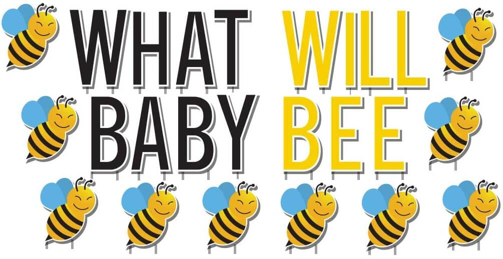 gender reveal yard sign decorations