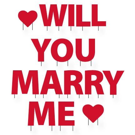 will you marry me yard decoration