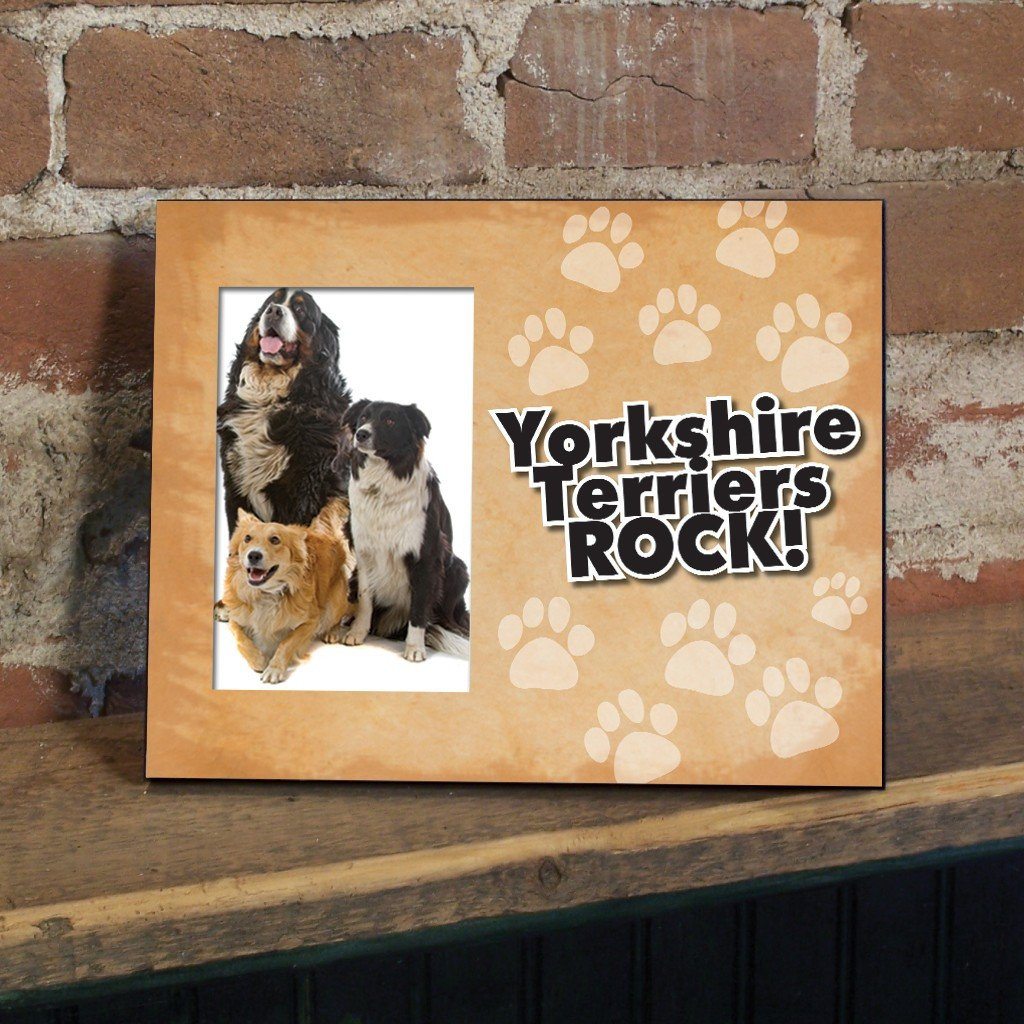 Yorkshire Terriers Rock Dog Picture Frame - Holds 4x6 picture
